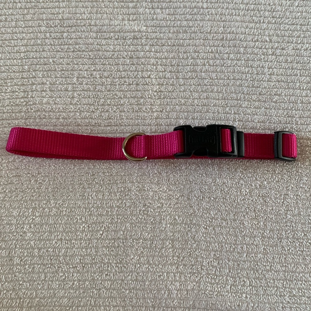 pink medium adjustable collar